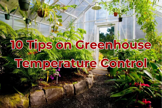 10 Tips on Greenhouse Temperature Control for Gardeners